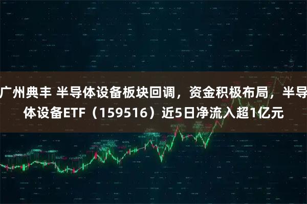 广州典丰 半导体设备板块回调，资金积极布局，半导体设备ETF（159516）近5日净流入超1亿元