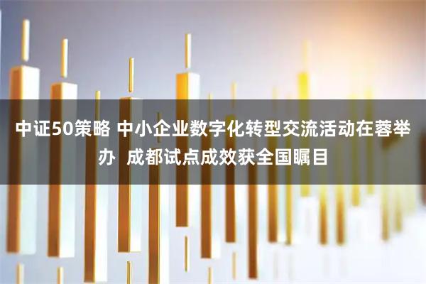 中证50策略 中小企业数字化转型交流活动在蓉举办  成都试点成效获全国瞩目
