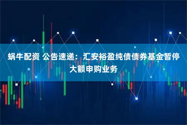 蜗牛配资 公告速递：汇安裕盈纯债债券基金暂停大额申购业务